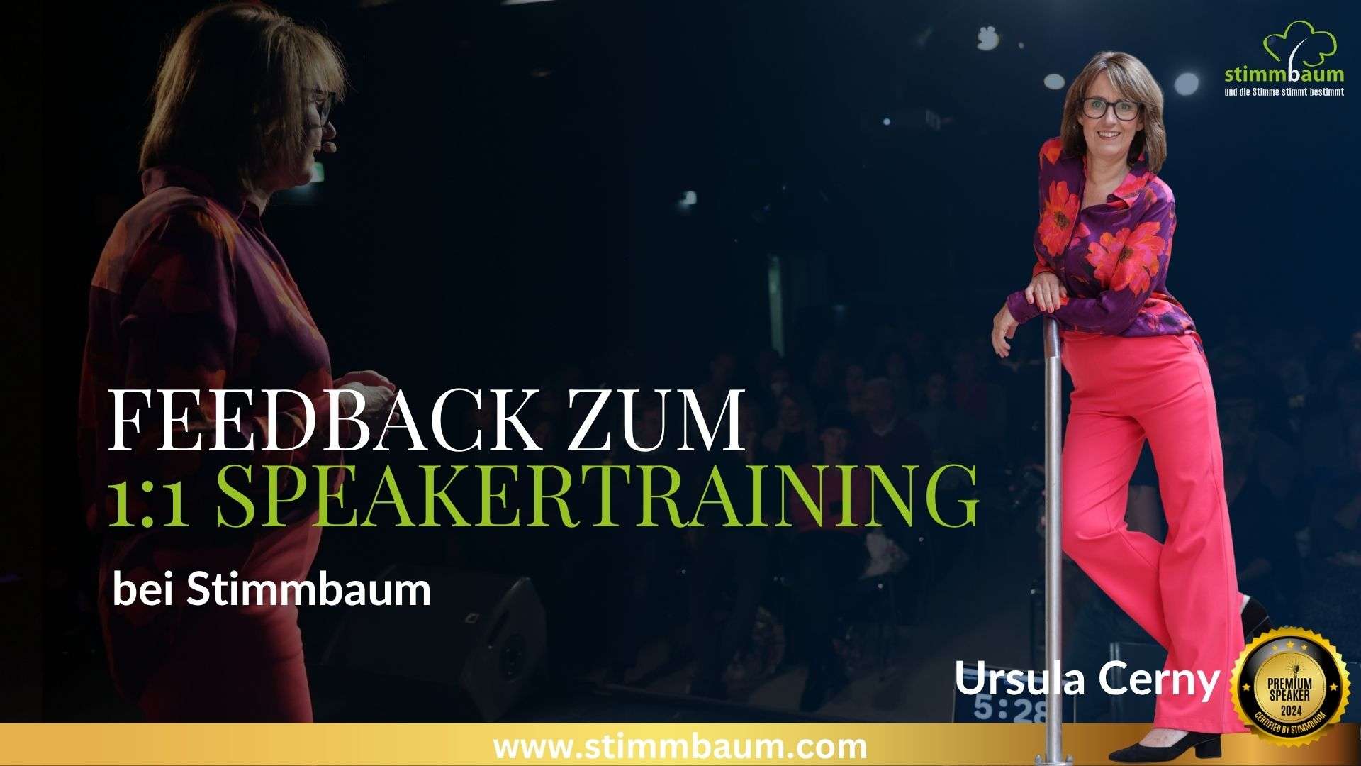 Vom Wiedereinstieg zur Siegerin – Ursula Cernys Erfolgsstory mit Stimmbaum®